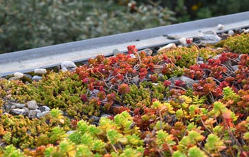 the cost of Longnor Park green roof installation
