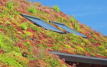 Longnor Park living roof systems